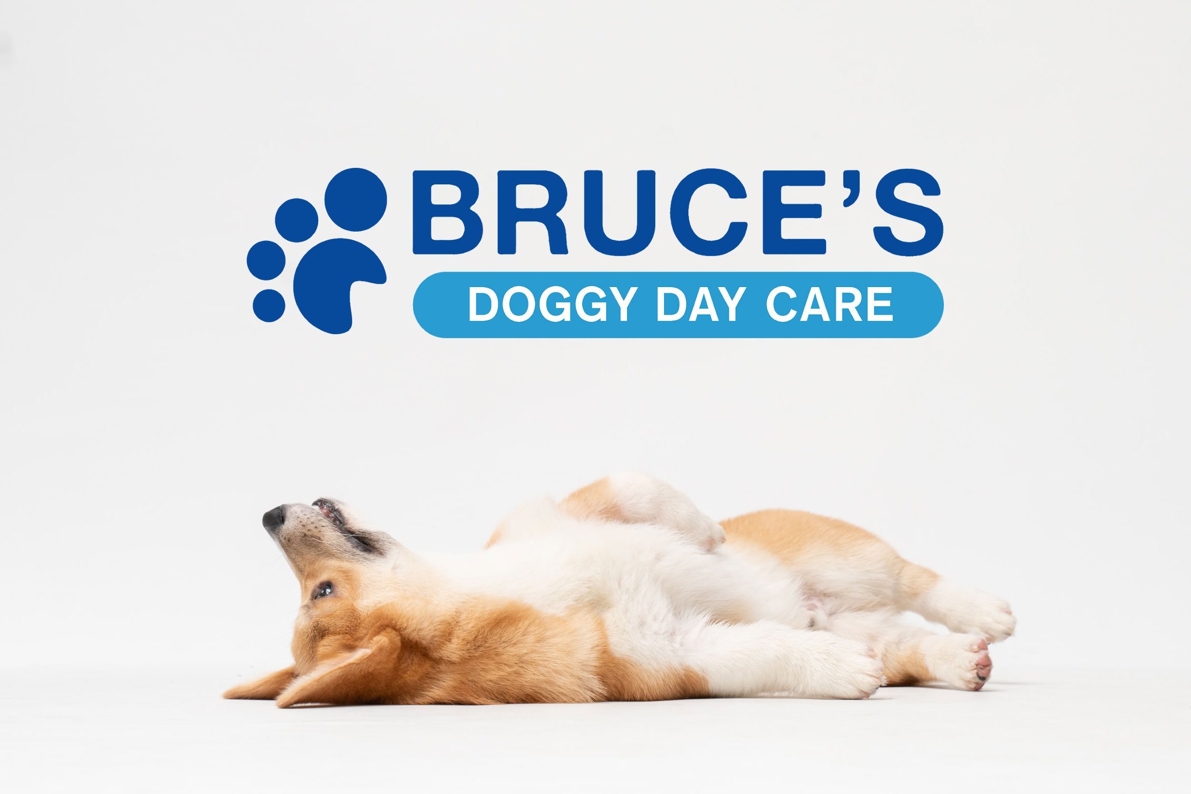 Bruce's doggy day care